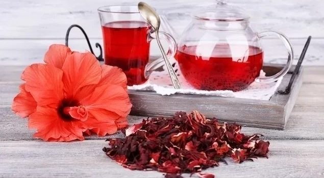 Incríveis benefícios no chá de hibisco para a saúde e como tomar
